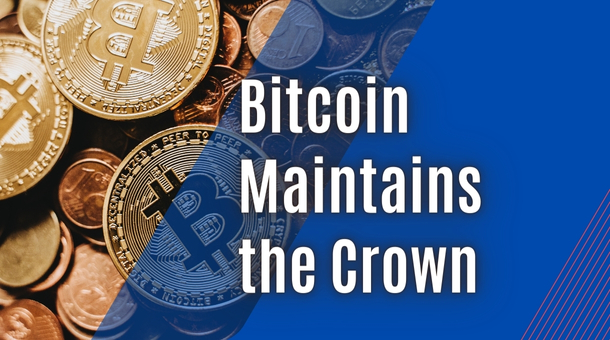 Bitcoin Maintains the Crown: Dominating NFT Sales in December 2023?