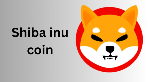Best Place to Buy Shiba Inu: