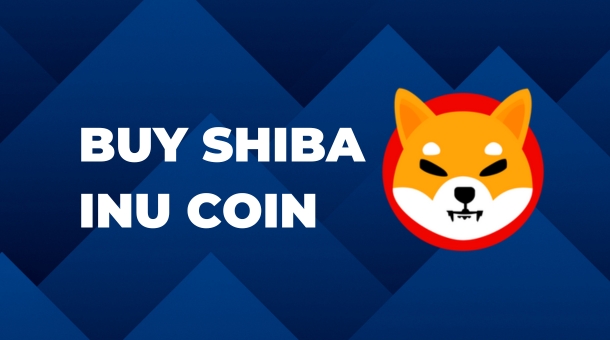 How to Buy Shiba Inu Coin in India 2024