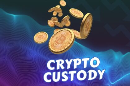 Crypto Custody: Keeping Your Digital Keys Safe in India