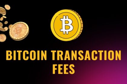 Bitcoin Transaction Fees in India: How Much Does it Cost to Send $1,000 USD worth of Bitcoin?