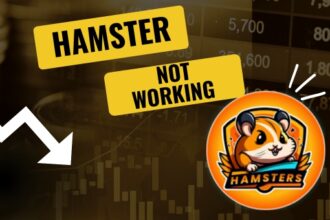 why the hamster kombat is not working sometimes?