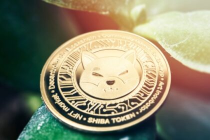 Is Shiba Inu Coin Available in India?